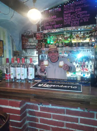 The bartender behind the counter, brick wall and bottles